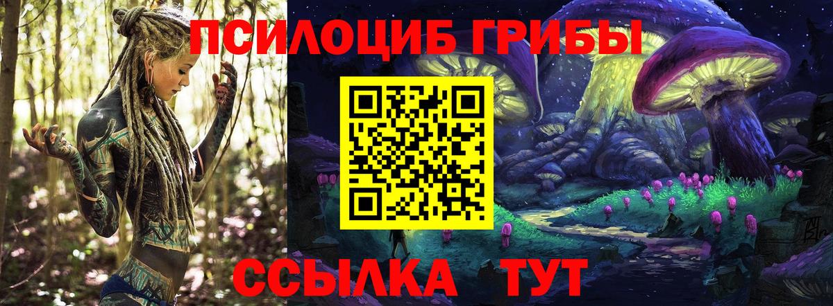 Псилоцибиновые грибы прущие грибы Армавир