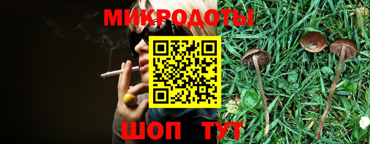 Армавир  Галлюциногенные грибы Psilocybe  Вход с VPN 