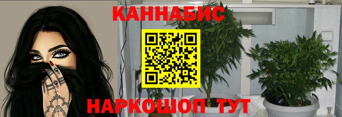 Марихуана AK-47  Каннабис Bruce Banner  Армавир  Бошки марихуана сатива  МАРИХУАНА план  Вход с VPN 